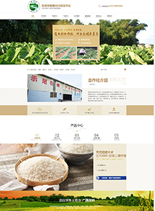 道西村合作社-營(yíng)銷(xiāo)型網(wǎng)站建設(shè)案例
