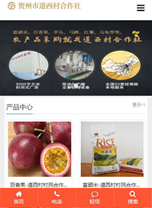道西村合作社-營(yíng)銷(xiāo)型手機(jī)網(wǎng)站建設(shè)案例